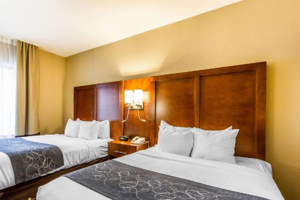 Comfort Suites Mattoon image 13