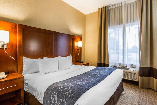 Comfort Suites Mattoon image 15